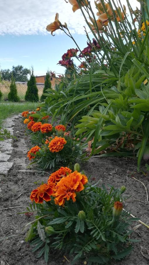 Apartament I Domek Letniskowy Hanna *